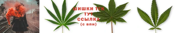 дживик Костерёво