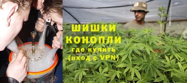 дживик Костерёво