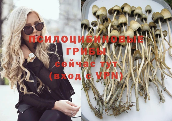 каннабис Коряжма