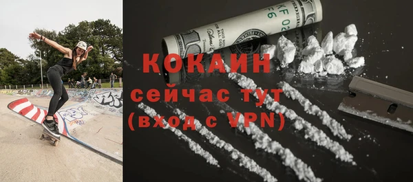 дживик Костерёво